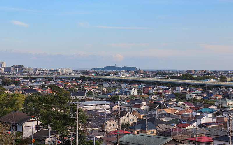 専門医が寄り添う循環器内科:的確な診断・治療を提供